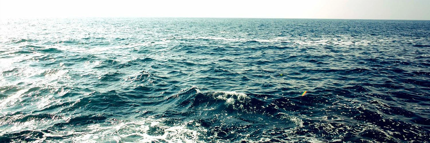 Water Shop -Water Shop 20