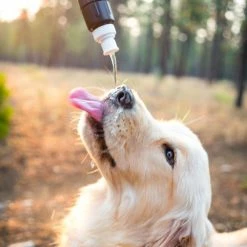 Sawyer Micro Squeeze Water Filtration System -Water Shop 441806e6 a603 447c b765 b78078d32dd7